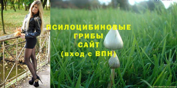 мет Баксан