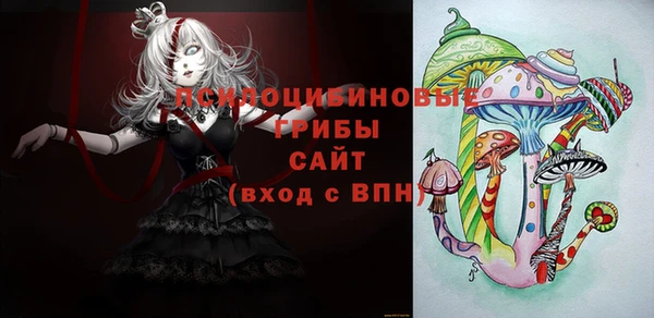 хмурый Балабаново