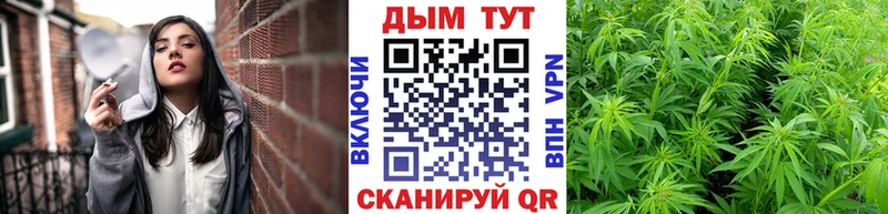 Бошки Шишки тримм Кущёвская